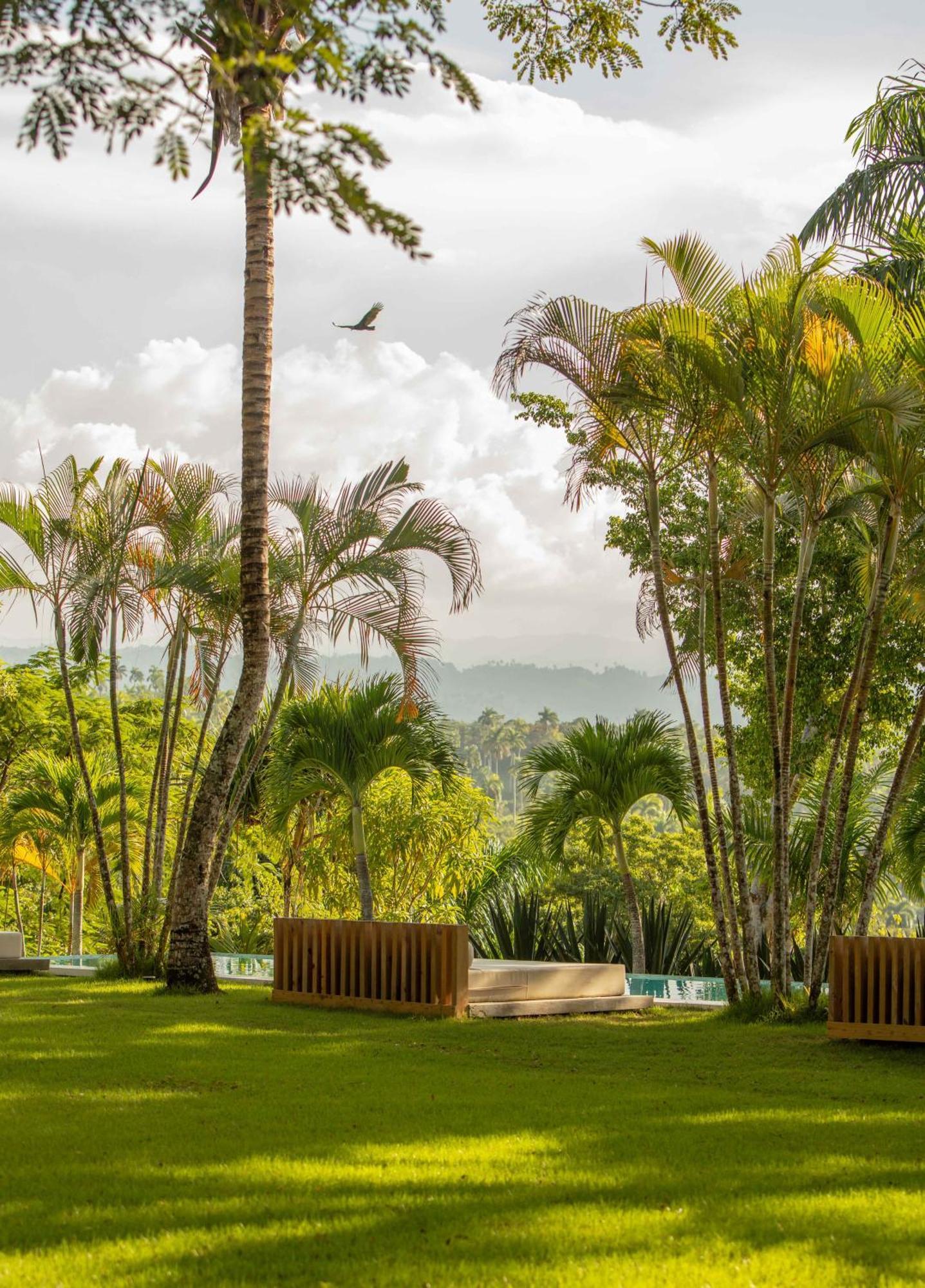 Oya - Wellness Eco Resort & Retreat Jamao al Norte Eksteriør billede